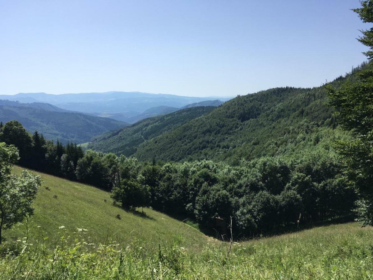 Almet Apartmanove Studio 206 Donovaly Zewnętrze zdjęcie